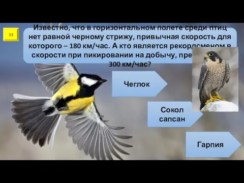 33 Известно, что в горизонтальном полете среди птиц нет равной