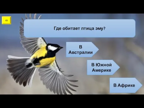 49 Где обитает птица эму? В Австралии В Южной Америке В Африке