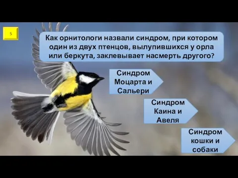 5 Как орнитологи назвали синдром, при котором один из двух