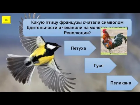 66 Какую птицу французы считали символом бдительности и чеканили на