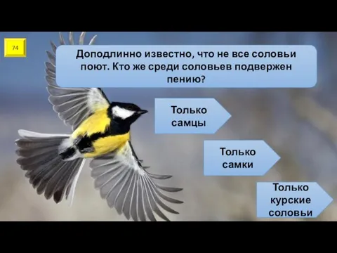 74 Доподлинно известно, что не все соловьи поют. Кто же