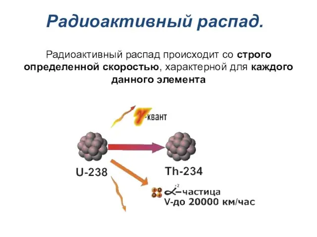 Радиоактивный распад. Радиоактивный распад происходит со строго определенной скоростью, характерной для каждого данного элемента