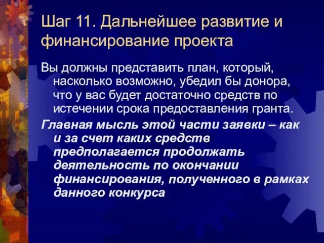 Шаг 11. Дальнейшее развитие и финансирование проекта Вы должны представить