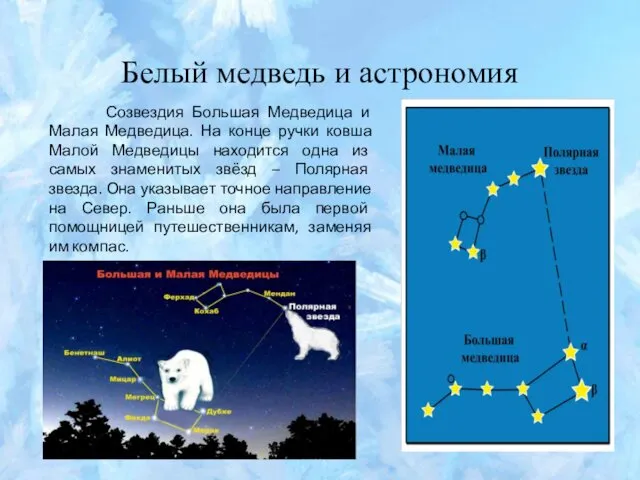 Белый медведь и астрономия Созвездия Большая Медведица и Малая Медведица.