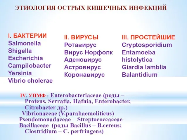 ЭТИОЛОГИЯ ОСТРЫХ КИШЕЧНЫХ ИНФЕКЦИЙ I. БАКТЕРИИ Salmonella Shigella Escherichia Campilobacter