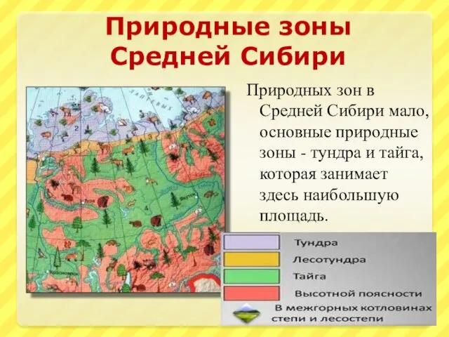 Природные зоны Средней Сибири Природных зон в Средней Сибири мало,