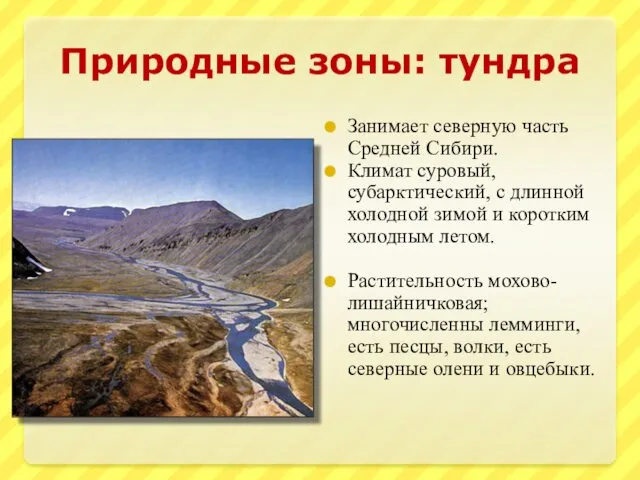 Природные зоны: тундра Занимает северную часть Средней Сибири. Климат суровый,