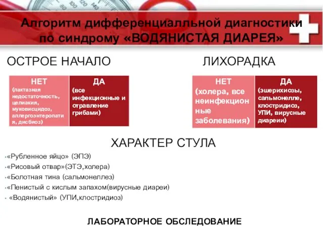 ОСТРОЕ НАЧАЛО ЛИХОРАДКА ХАРАКТЕР СТУЛА «Рубленное яйцо» (ЭПЭ) «Рисовый отвар»(ЭТЭ,холера) «Болотная тина (сальмонеллез)