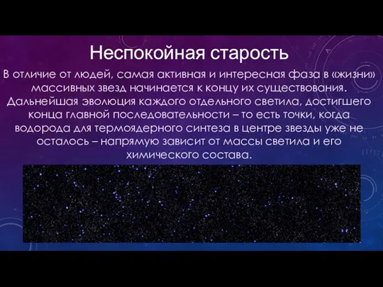 В отличие от людей, самая активная и интересная фаза в