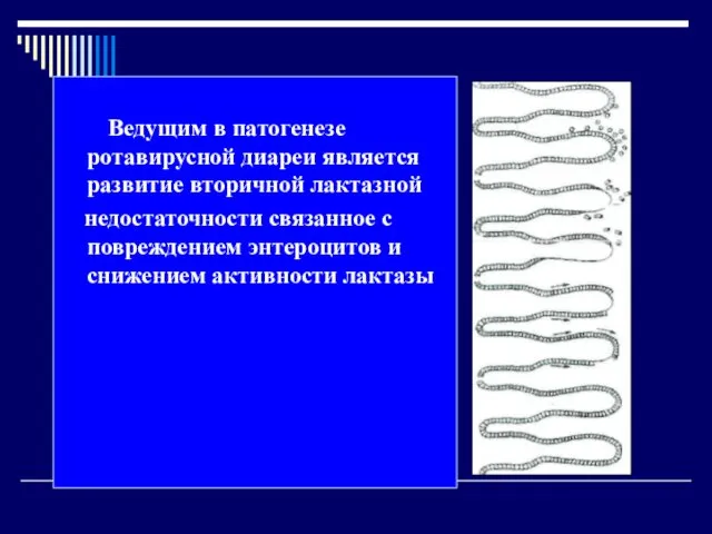 Ведущим в патогенезе ротавирусной диареи является развитие вторичной лактазной недостаточности