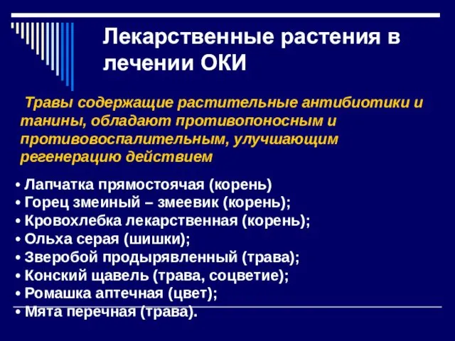 Лекарственные растения в лечении ОКИ Травы содержащие растительные антибиотики и