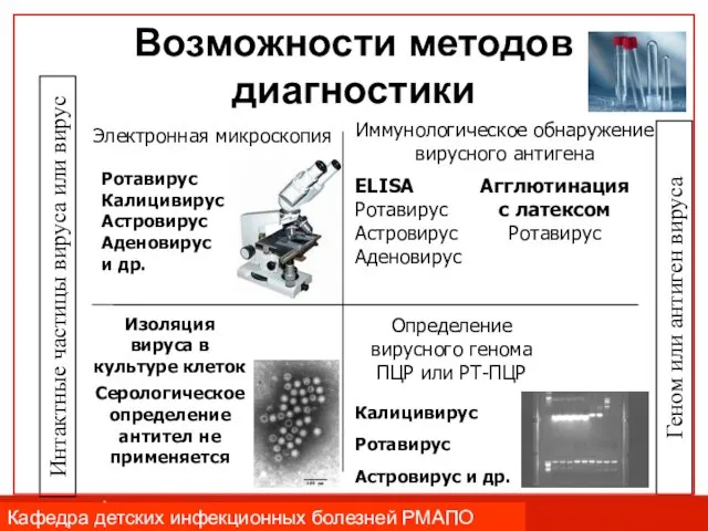 Возможности методов диагностики Электронная микроскопия Ротавирус Калицивирус Астровирус Аденовирус и