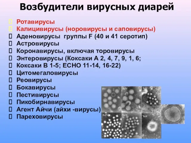 Возбудители вирусных диарей Ротавирусы Калицивирусы (норовирусы и саповирусы) Аденовирусы группы