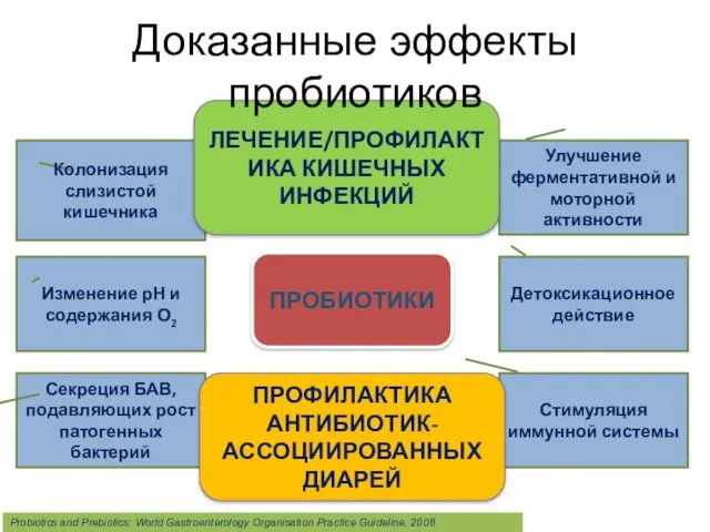 Колонизация слизистой кишечника Изменение рН и содержания О2 Секреция БАВ,