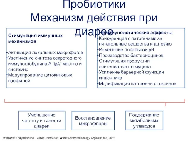 Стимуляция иммунных механизмов Активация локальных макрофагов Увеличение синтеза секреторного иммуноглобулина