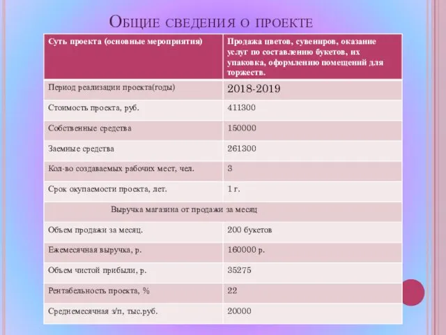 Общие сведения о проекте