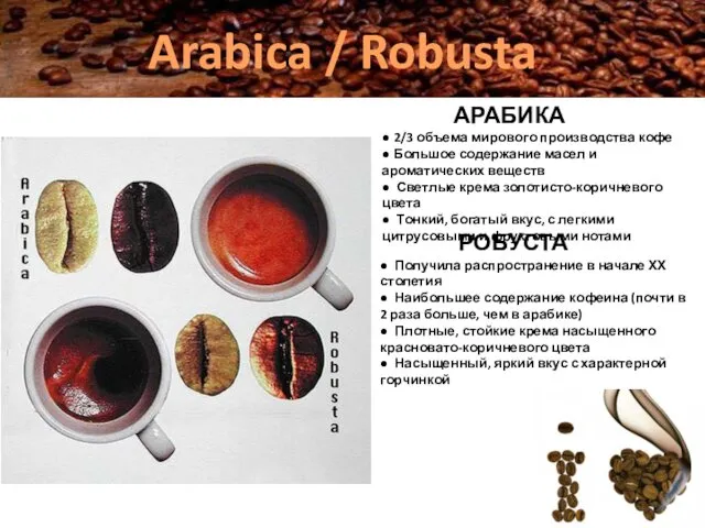Arabica / Robusta АРАБИКА ● 2/3 объема мирового производства кофе ● Большое содержание