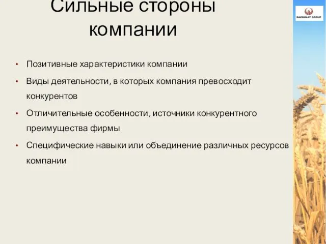 Сильные стороны компании Позитивные характеристики компании Виды деятельности, в которых