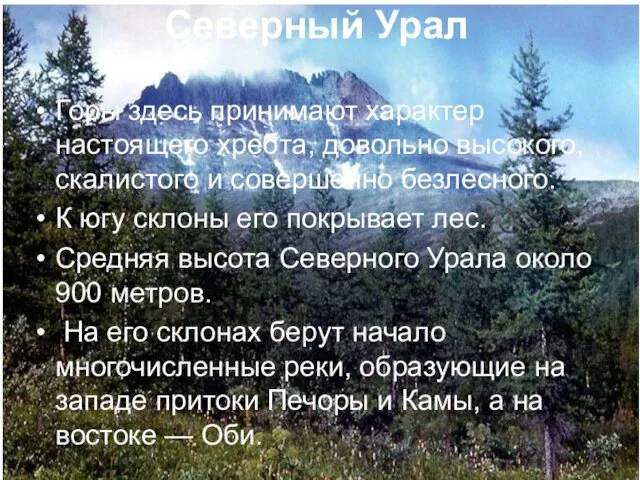 Горы здесь принимают характер настоящего хребта, довольно высокого, скалистого и