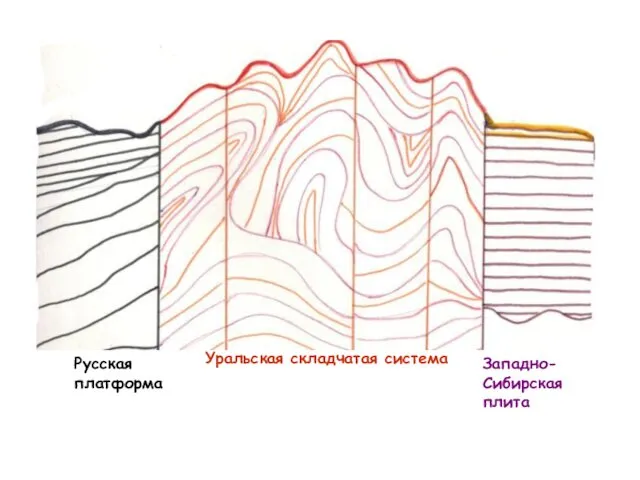 Русская платформа Уральская складчатая система Западно-Сибирская плита