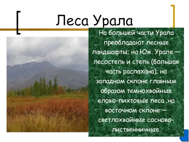 Леса Урала На большей части Урала преобладают лесные ландшафты; на