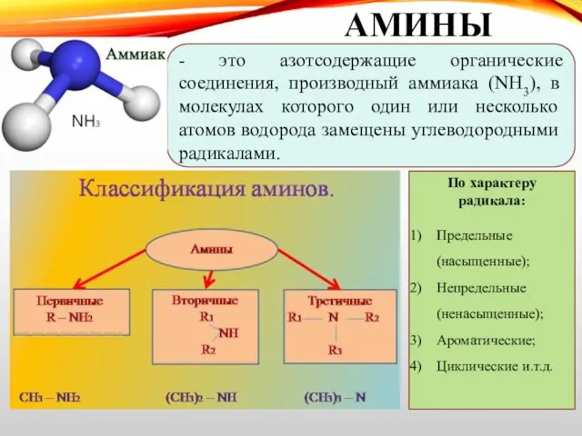АМИНЫ - это азотсодержащие органические соединения, производный аммиака (NH3), в