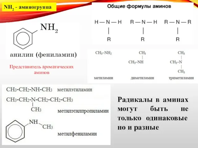 Представитель ароматических аминов Радикалы в аминах могут быть не только