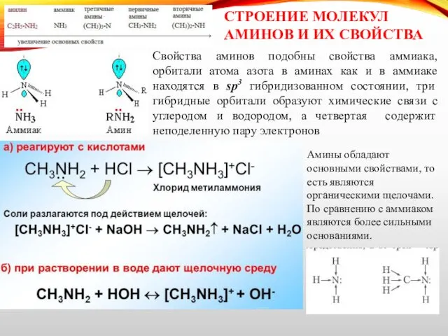 СТРОЕНИЕ МОЛЕКУЛ АМИНОВ И ИХ СВОЙСТВА Свойства аминов подобны свойства