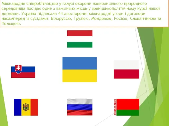 Міжнародне співробітництво у галузі охорони навколишнього природного середовища посідає одне