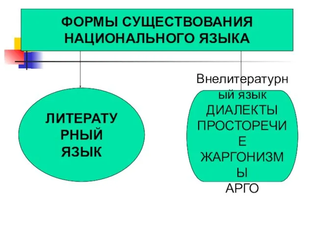 ФОРМЫ СУЩЕСТВОВАНИЯ НАЦИОНАЛЬНОГО ЯЗЫКА ЛИТЕРАТУРНЫЙ ЯЗЫК Внелитературный язык ДИАЛЕКТЫ ПРОСТОРЕЧИЕ ЖАРГОНИЗМЫ АРГО