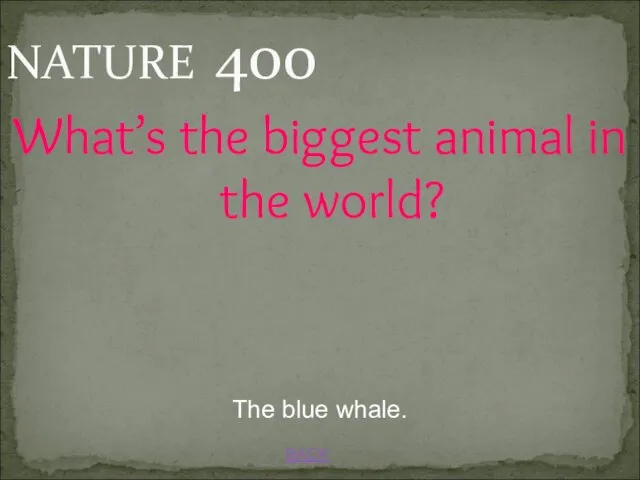 BACK The blue whale. NATURE 400 What’s the biggest animal in the world?
