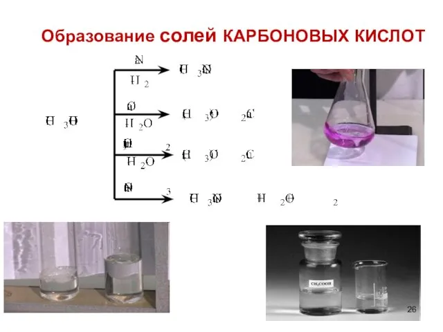 Образование солей КАРБОНОВЫХ КИСЛОТ