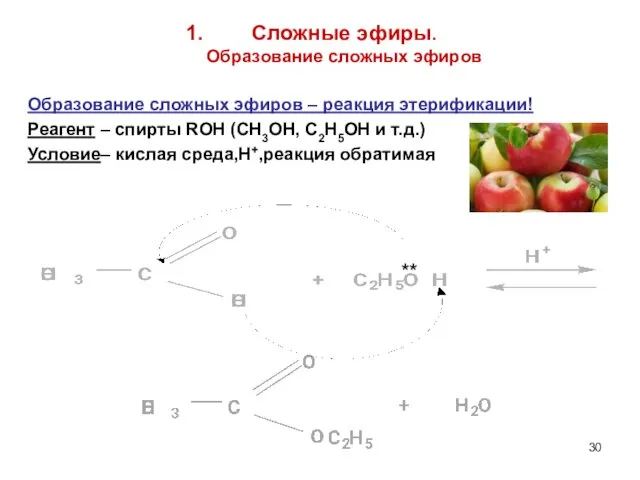 Сложные эфиры. Образование сложных эфиров Образование сложных эфиров – реакция