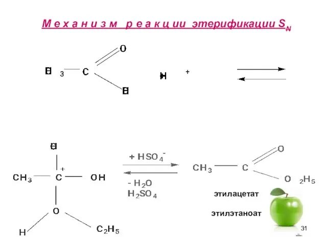 М е х а н и з м р е