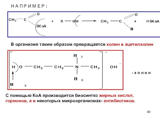 Н А П Р И М Е Р : -