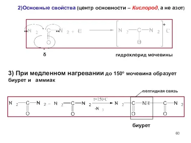 2)Основные свойства (центр основности – Кислород, а не азот) гидрохлорид