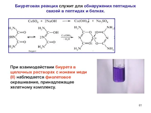 Биуретовая реакция служит для обнаружения пептидных связей в пептидах и