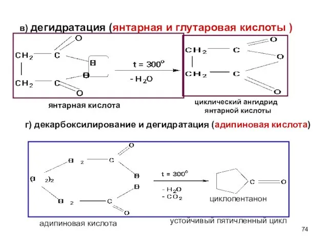 в) дегидратация (янтарная и глутаровая кислоты ) янтарная кислота циклический