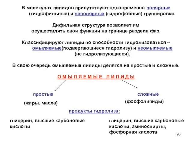 В молекулах липидов присутствуют одновременно полярные (гидрофильные) и неполярные (гидрофобные)