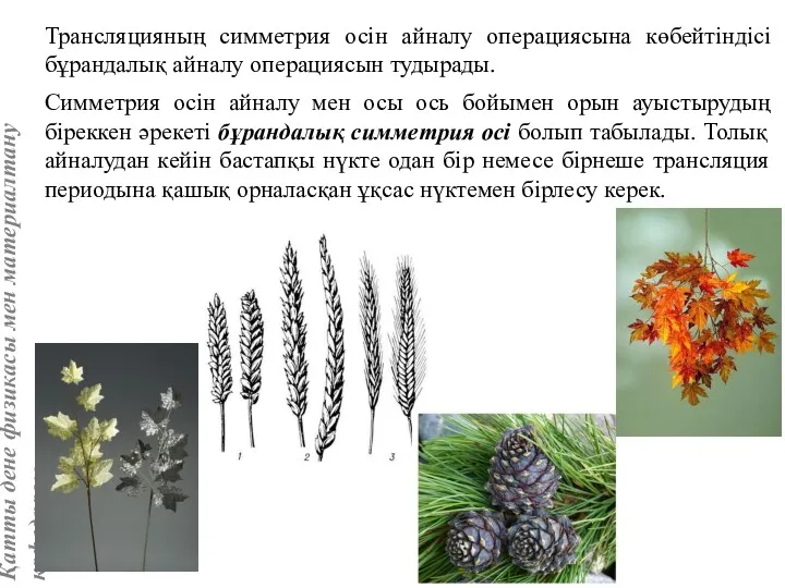 Трансляцияның симметрия осін айналу операциясына көбейтіндісі бұрандалық айналу операциясын тудырады.