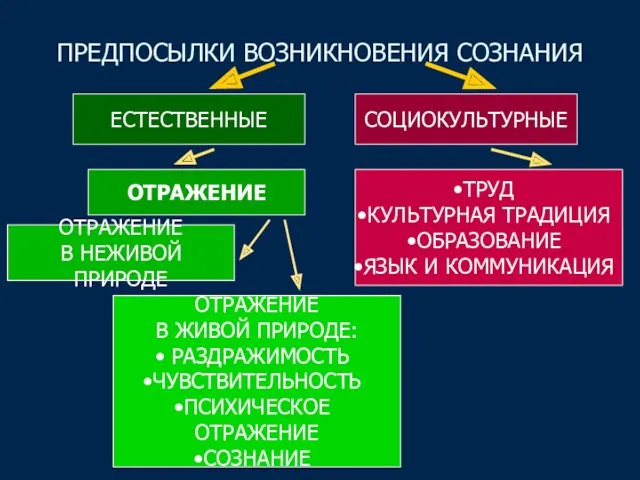 ОТРАЖЕНИЕ ОТРАЖЕНИЕ В НЕЖИВОЙ ПРИРОДЕ ОТРАЖЕНИЕ В ЖИВОЙ ПРИРОДЕ: РАЗДРАЖИМОСТЬ