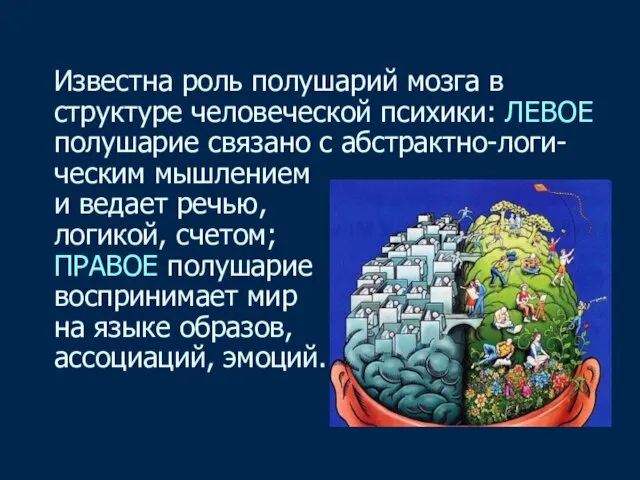 Известна роль полушарий мозга в структуре человеческой психики: ЛЕВОЕ полушарие