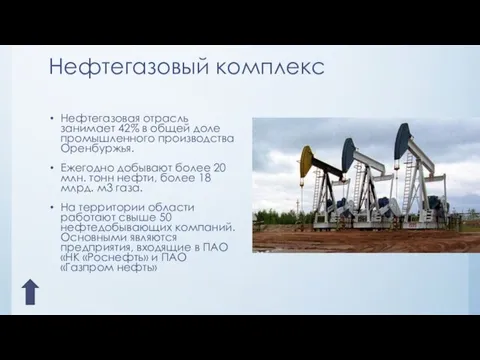 Нефтегазовый комплекс Нефтегазовая отрасль занимает 42% в общей доле промышленного