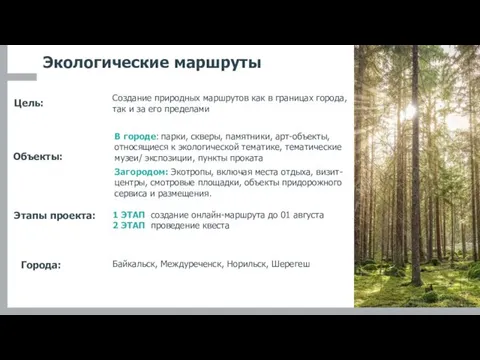 Экологические маршруты Цель: Объекты: В городе: парки, скверы, памятники, арт-объекты,