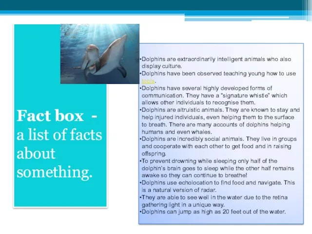 Fact box - a list of facts about something. Dolphins