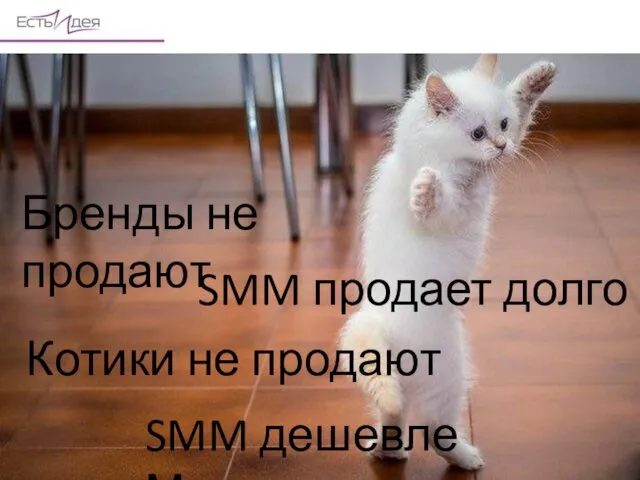 Котики не продают Бренды не продают SMM продает долго SMM дешевле Маркета