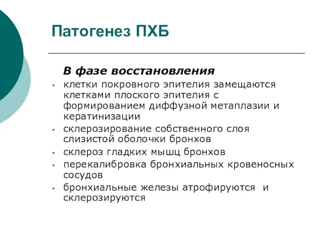 Патогенез ПХБ В фазе восстановления клетки покровного эпителия замещаются клетками