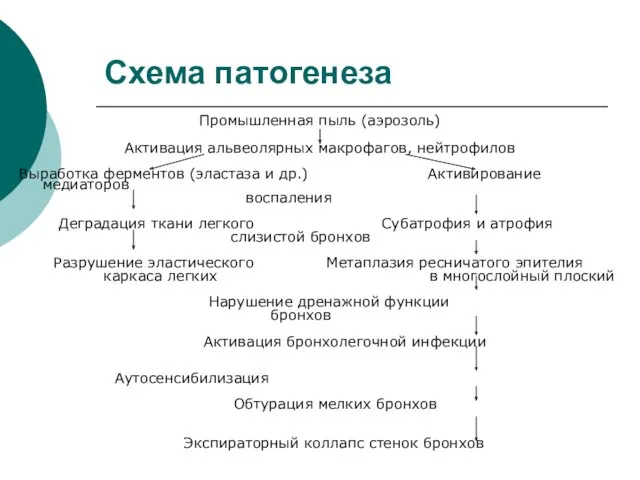 Схема патогенеза Промышленная пыль (аэрозоль) Активация альвеолярных макрофагов, нейтрофилов Выработка