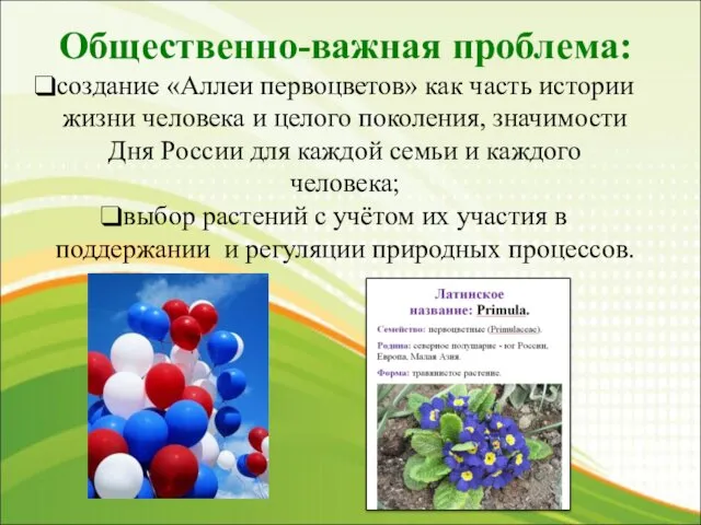 Общественно-важная проблема: создание «Аллеи первоцветов» как часть истории жизни человека