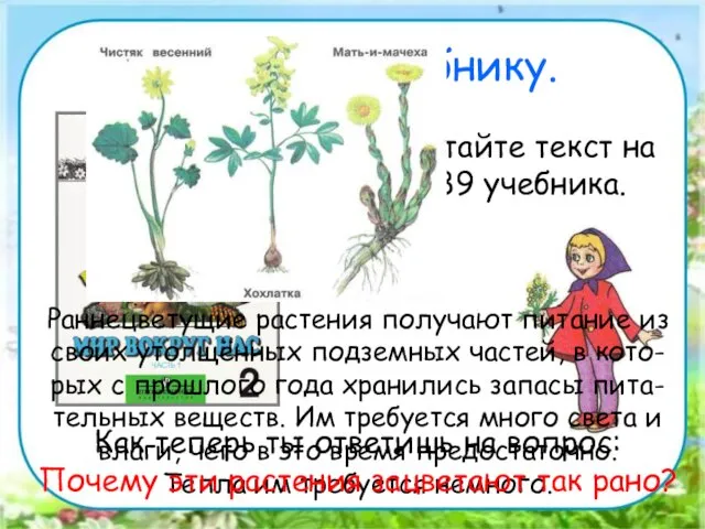 Работа по учебнику. Прочитайте текст на стр. 89 учебника. Раннецветущие